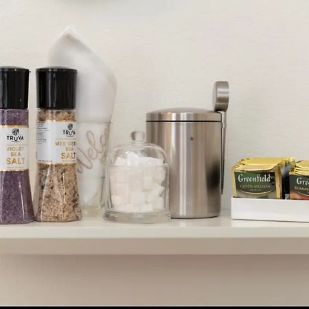 公寓 Family Center 巴登-巴登