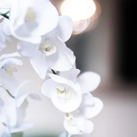 Family Center * 巴登-巴登